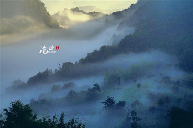 满足你的好奇心,快来参与四川在哪里有大熊猫蜗牛问答平台!